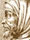 Cimabue