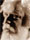 Eadweard Muybridge