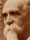 Luigi Luzzatti