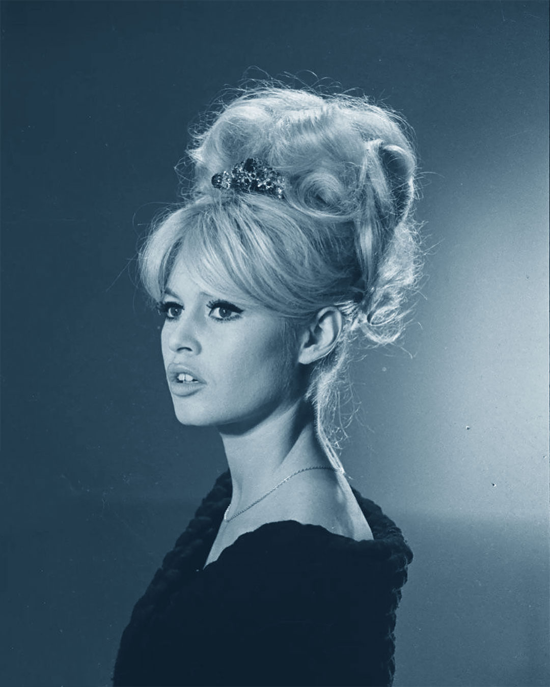 Brigitte Bardot